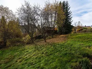 Prodej bytu 2+kk, Železná Ruda, 58 m2