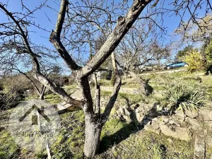 Prodej zahrady, Ústí nad Labem, V Kutišti, 359 m2