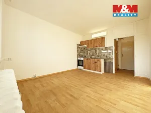 Pronájem bytu 1+kk, Horní Slavkov, Dlouhá, 20 m2