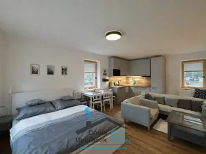 Prodej bytu 1+kk, Deštné v Orlických horách, 44 m2