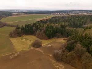 Prodej louky, Niva, 7301 m2