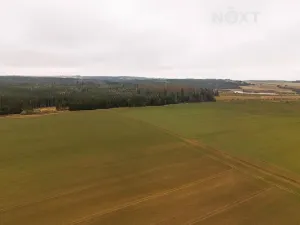 Prodej louky, Niva, 7301 m2