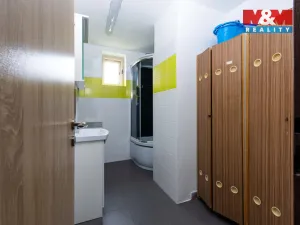 Prodej obchodního prostoru, Svatoňovice, 128 m2