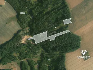 Prodej podílu lesa, Ondřejov, 7382 m2