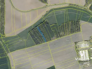 Prodej podílu lesa, Koloveč, 629 m2