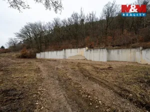 Prodej pozemku pro bydlení, Svinošice, 3250 m2