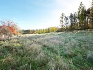 Prodej pozemku pro bydlení, Daleké Dušníky, 1217 m2