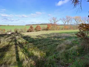 Prodej pozemku pro bydlení, Daleké Dušníky, 1217 m2