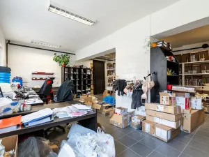 Prodej vícegeneračního domu, Ostopovice, U Kaple, 450 m2