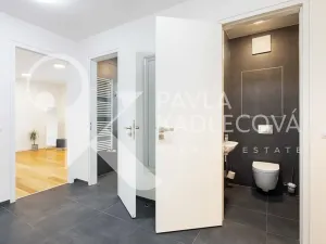 Pronájem bytu 3+kk, Praha - Karlín, Sokolovská, 100 m2