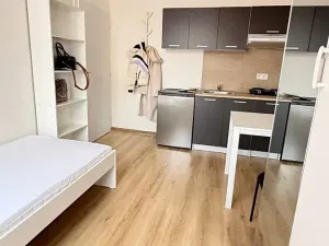 Pronájem bytu 1+kk, Kladno, Hřebečská, 18 m2