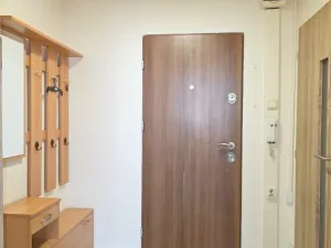 Pronájem bytu 1+kk, Ústí nad Labem - Krásné Březno, Neštěmická, 32 m2