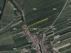 Prodej pole, Hrubá Vrbka, 2030 m2