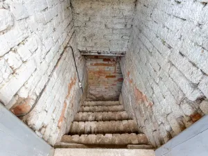 Prodej rodinného domu, Vyškov - Nouzka, Brněnská, 84 m2