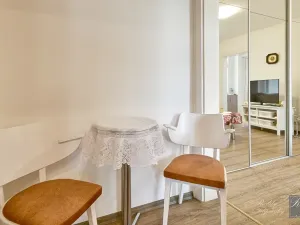 Prodej bytu 2+kk, Ústí nad Labem, Zámečnická, 43 m2