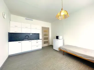 Prodej bytu 1+1, Český Krumlov - Nádražní Předměstí, Za Nádražím, 38 m2