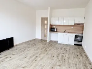 Pronájem bytu 1+kk, Havířov - Šumbark, Letní, 29 m2