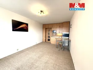 Prodej bytu 1+kk, Ostrava - Poruba, náměstí Václava Vacka, 30 m2