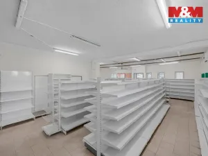Prodej obchodního prostoru, Teplice nad Metují, Komenského, 155 m2