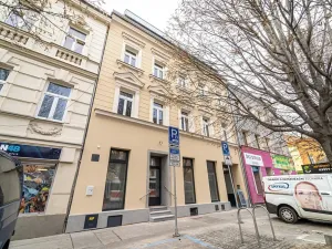 Pronájem bytu 1+kk, Brno, Palackého třída, 29 m2