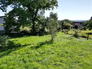 Prodej pozemku, Konstantinovy Lázně - Okrouhlé Hradiště, 973 m2