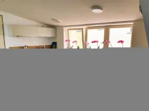 Pronájem bytu 1+kk, Plzeň - Vnitřní Město, Veleslavínova, 36 m2