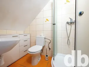 Pronájem bytu 1+1, Karlovy Vary, Jabloňová, 45 m2