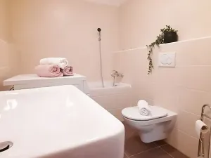 Pronájem bytu 1+kk, Brno, Šemberova, 51 m2