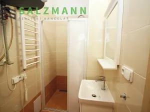 Pronájem bytu 2+kk, Plzeň, Úslavská, 38 m2