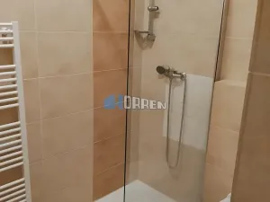 Pronájem bytu 2+kk, Praha - Nusle, V Horkách, 51 m2