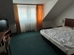 Prodej ubytování, Lázně Kynžvart, Zámek, 1539 m2