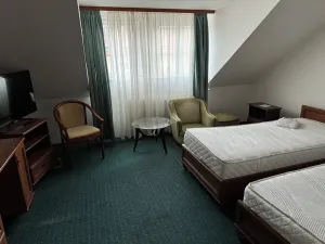 Prodej ubytování, Lázně Kynžvart, Zámek, 1539 m2