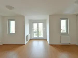 Pronájem vily, Průhonice, Pod Valem II., 285 m2