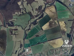 Prodej pole, Záhorovice, 1644 m2