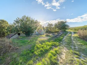 Prodej ostatní, Čejkovice