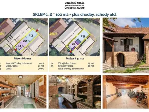 Prodej ostatní, Velké Bílovice