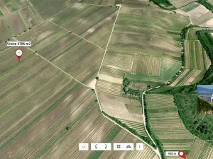 Prodej pole, Velké Bílovice, 3706 m2