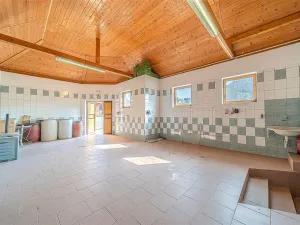 Prodej komerční, Velké Bílovice, 508 m2