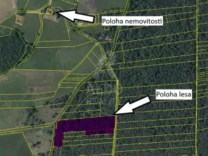 Prodej rodinného domu, Hranice, 130 m2