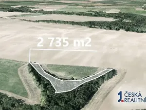 Prodej podílu lesa, Mělnické Vtelno, 8584 m2