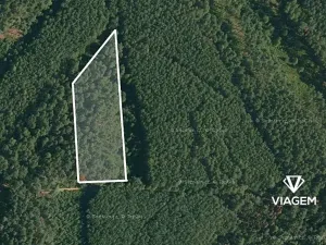 Prodej podílu lesa, Vlastiboř, 1755 m2