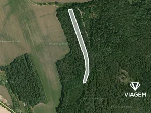 Prodej podílu lesa, Koloveč, 859 m2