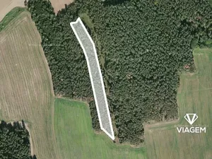 Prodej podílu lesa, Koloveč, 2021 m2