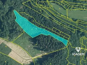 Prodej lesa, Leskovec, 7968 m2