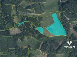 Prodej podílu lesa, Růžďka, 26713 m2