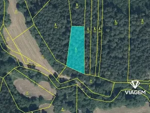 Prodej podílu lesa, Chýstovice, 485 m2