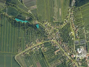 Prodej lesa, Velký Ořechov, 2756 m2