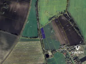 Prodej podílu pole, Pňov-Předhradí, 1912 m2