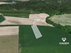 Prodej pole, Petroupim, 7931 m2