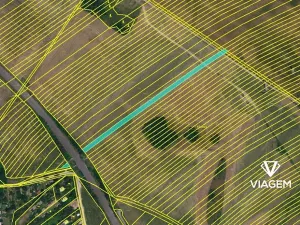 Prodej podílu pole, Kuchařovice, 1267 m2